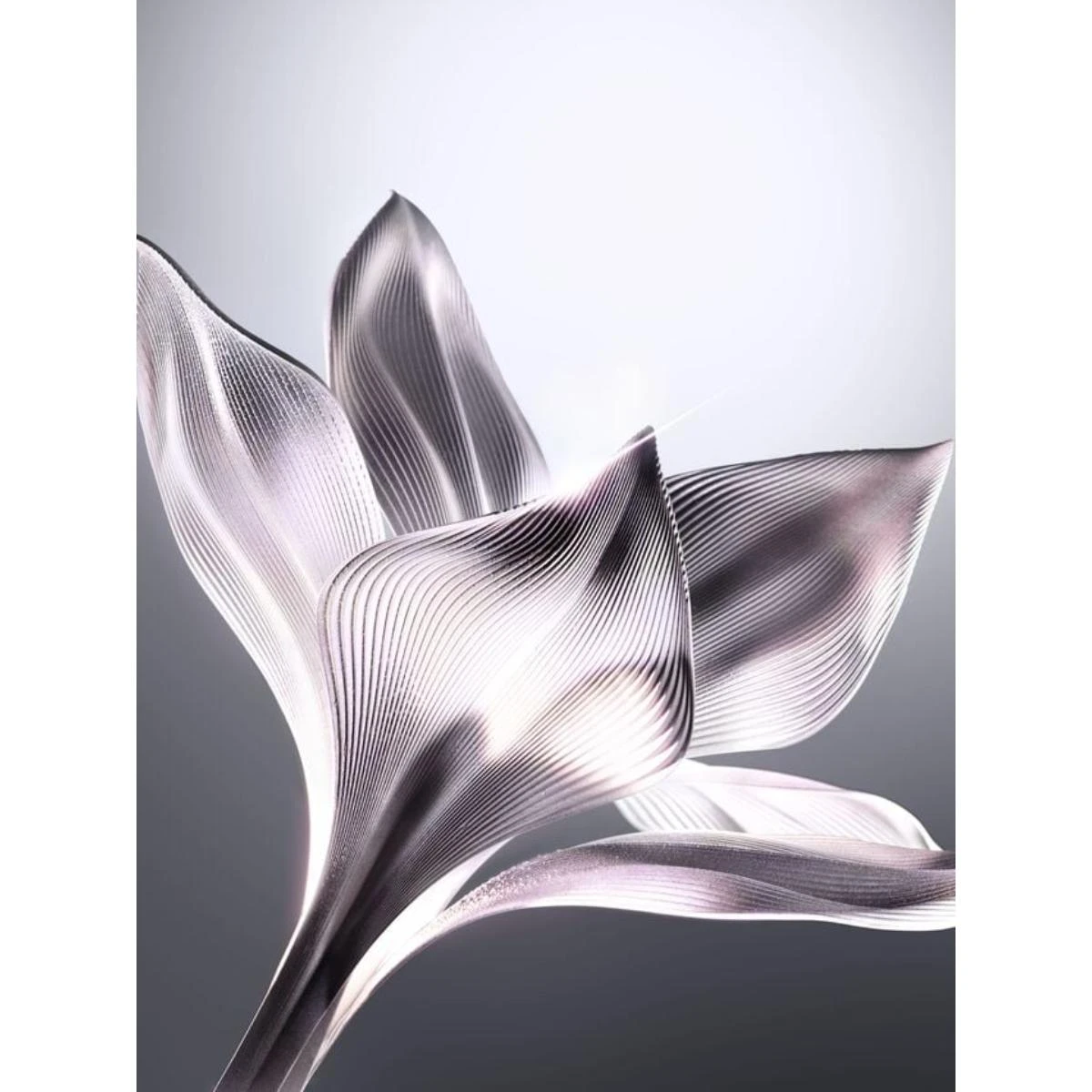 Capture Day Creme(Dior Capture Creme Jar 50ml 25 40129801 50ml) 5 Capture Day Creme(Dior Capture Creme Jar 50ml 25 40129801 50ml) - Image 5