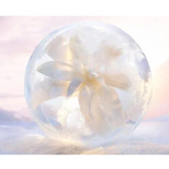 Dior Snow Essence Of Light Creme - 50ML(Dior Snow Essence Of Light Creme Jar 50ml 40305001 50ml) -Beautyencounter Shop 3348901682626SnowEssenceOfLightMoisturiser4