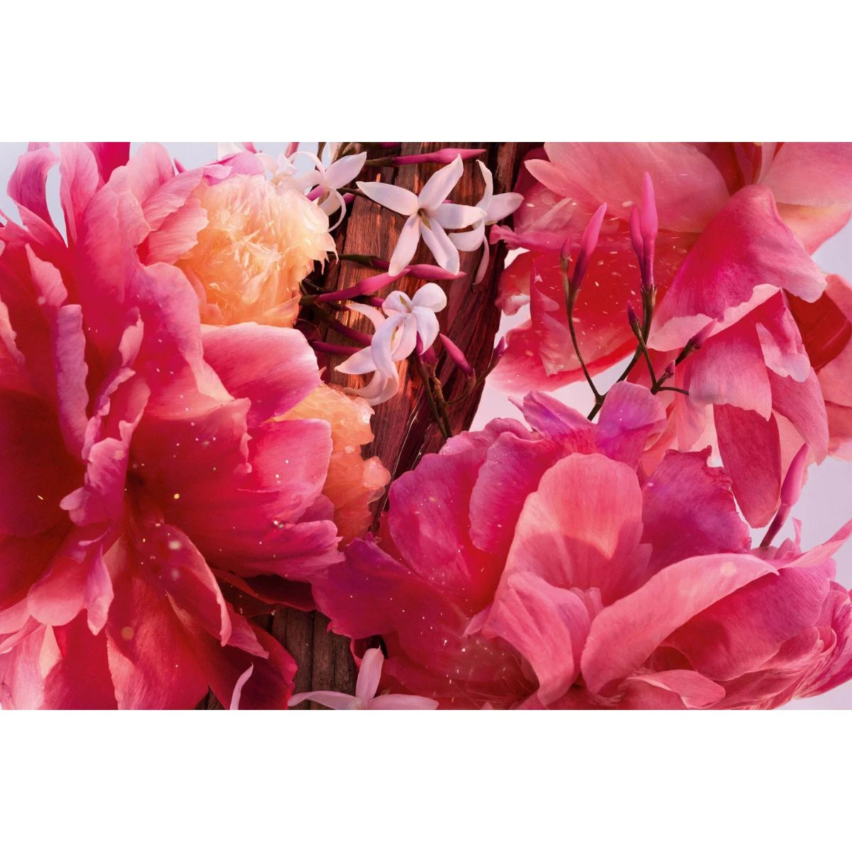 Miss Dior Parfum(Dior Miss Dior Parfum C36787501) 9 Miss Dior Parfum(Dior Miss Dior Parfum C36787501) - Image 9