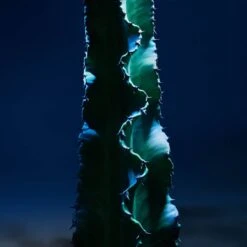 Sauvage The Face Cleanser 125ml(Dior Sauvage Cleanser 125ml 37323501 125ml) -Beautyencounter Shop dior 3348901683555 main3