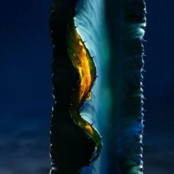 Sauvage TheFace Serum 50ml(Dior Sauvage Serum 50ml 37324001 50ml) -Beautyencounter Shop dior 3348901683579 main6