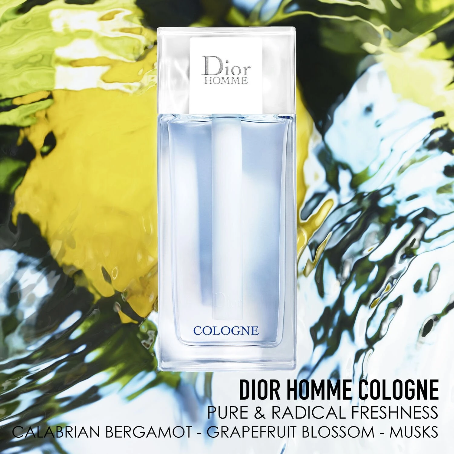 Dior Homme Cologne 200ml(Diorhommecologne200ml 32687701 200ml) 2 Dior Homme Cologne 200ml(Diorhommecologne200ml 32687701 200ml) - Image 2