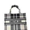 Dior Black & White Check Small Book Tote -Beautyencounter Shop wsxc1722682528516 0