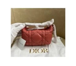 Dior Small Nomad Pouch Handbag Leather